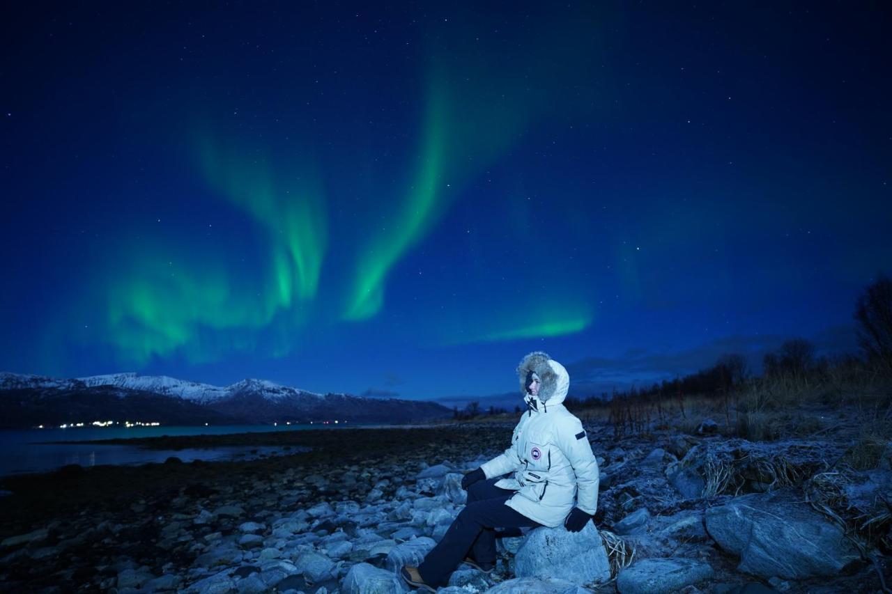Arctic Rooms Rektor Tromsø Dış mekan fotoğraf