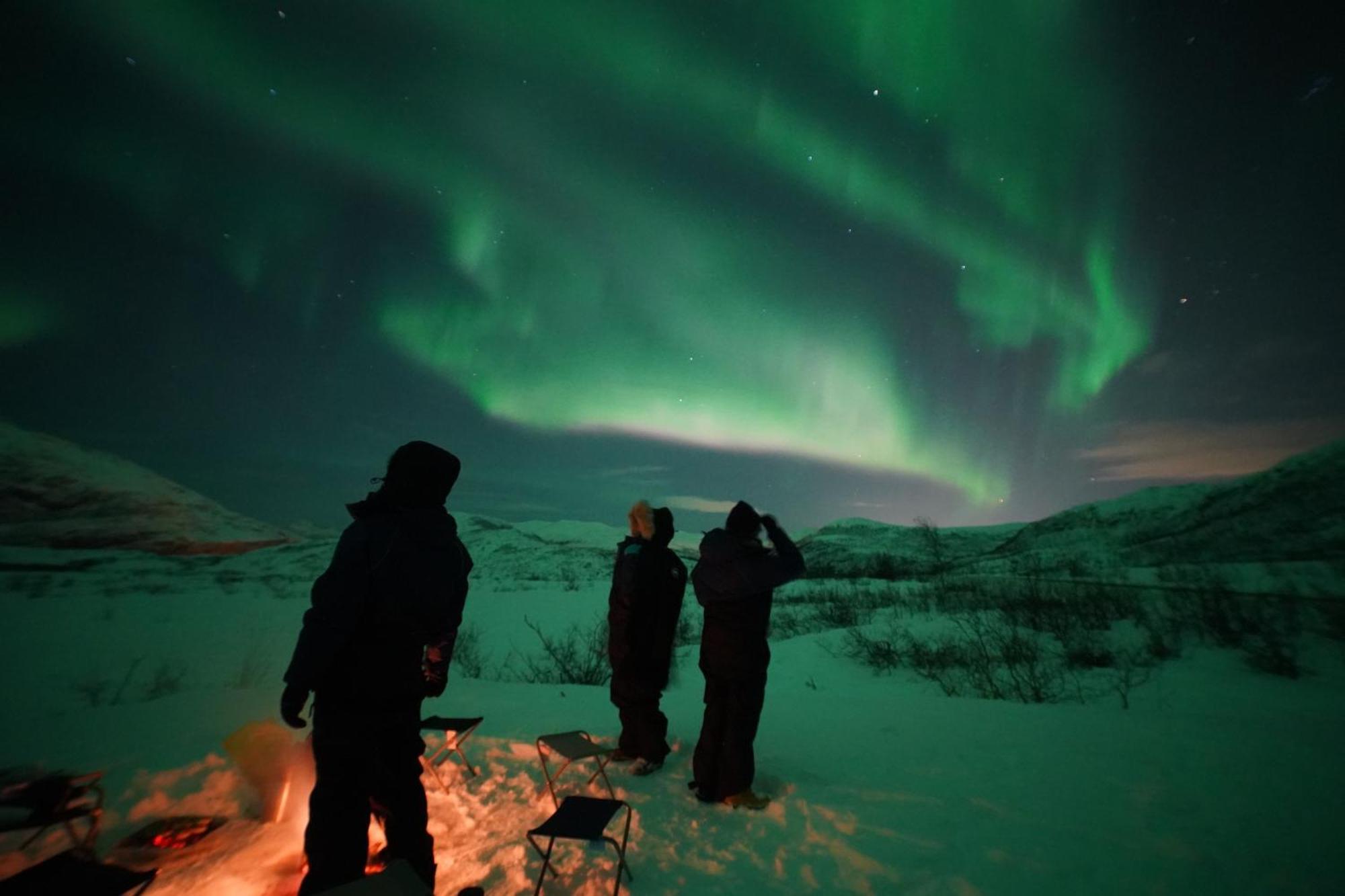 Arctic Rooms Rektor Tromsø Dış mekan fotoğraf